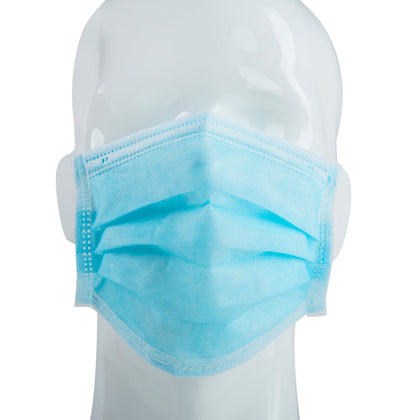 D1 Disposable Face Mask - (Pack of 50, 250, 2000, Available) - CarryOut Supplies